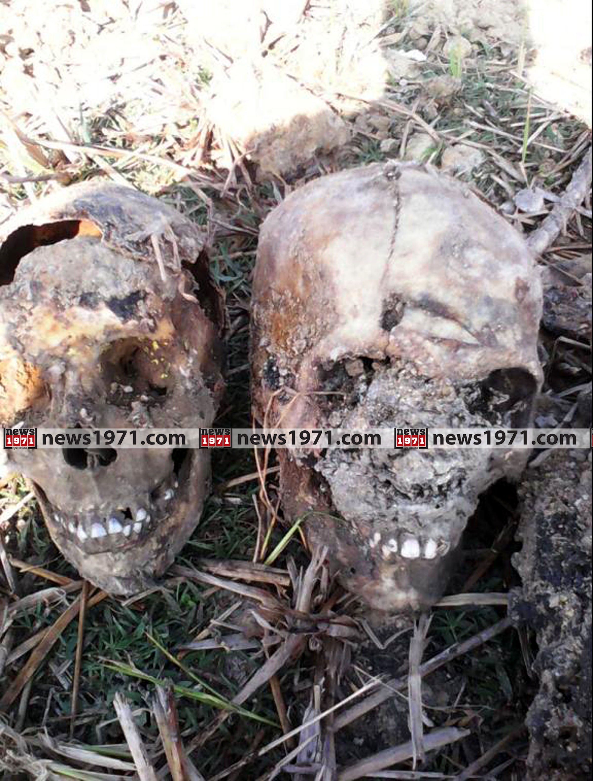 Rohingya Konkal_news1971 (1)