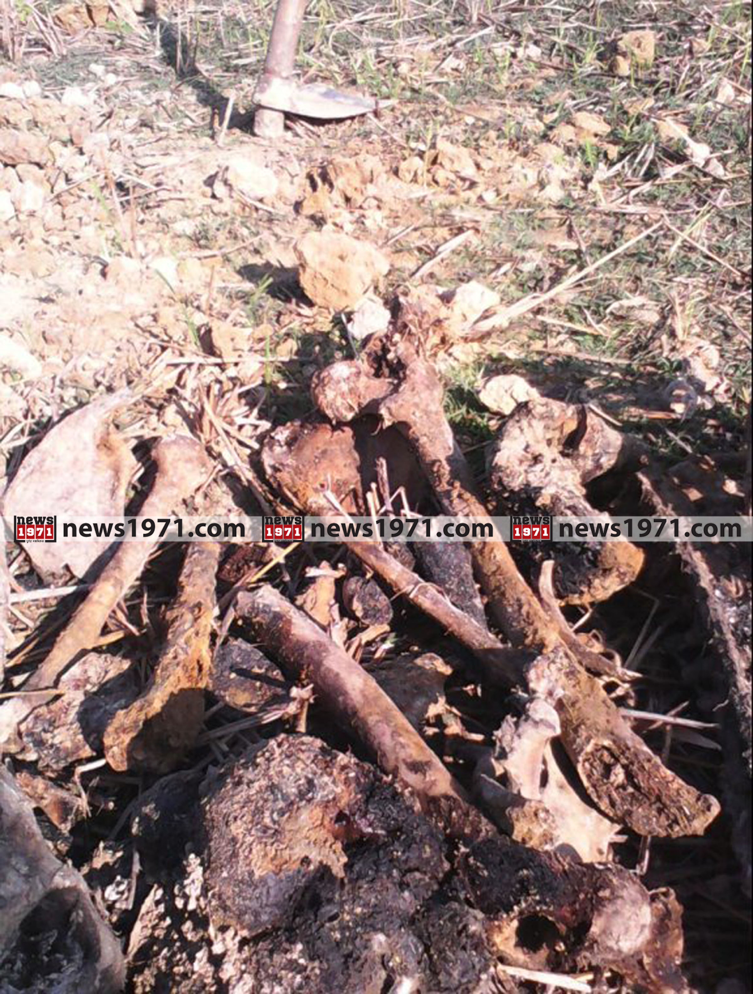 Rohingya Konkal_news1971 (3)