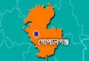গোপালগঞ্জে বজ্রপাতে কৃষক নিহত গোপালগঞ্জে বজ্রপাতে কৃষক নিহত