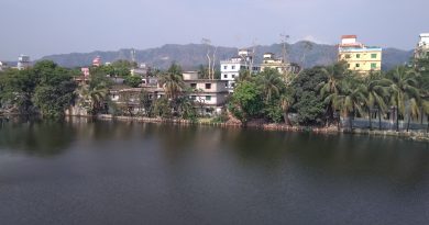 গুলিয়াখালী বেড়িবাঁধের পথ ধরে গুলিয়াখালী বেড়িবাঁধের পথ ধরে