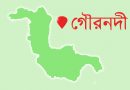 গৌরনদীতে বেইলি ব্রিজে ধস : যান চলাচল বন্ধ গৌরনদীতে বেইলি ব্রিজে ধস : যান চলাচল বন্ধ